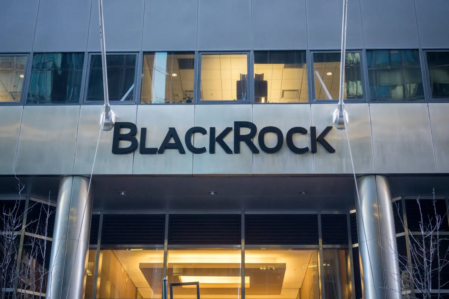 Securitize конвертирует USDC для фонда BlackRock